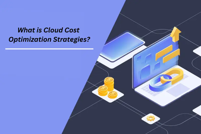 what is cloud cost optimization strategies